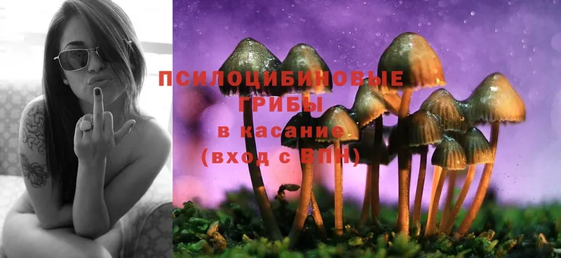 где продают наркотики  Вуктыл  Псилоцибиновые грибы Magic Shrooms 